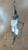 VOLKSWAGEN TIGUAN «I» (2011) STERZO SCATOLA STERZO C/SERVOSTERZO (REVISIONATA) USATO Da 2011 A 2016 [[249650]]
