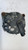 LAND ROVER RANGE ROVER EVOQUE «I» (2015) IMPIANTO ELETTRICO ALTERNATORE USATO Da 2015 in poi [[250664]]