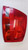 AUDI A4 «8ED» AVANT (2005) FANALERIA FANALE EST. POST. DX. USATO Da 2004 A 2008 [[251085]]