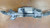 VOLKSWAGEN GOLF «VI» (2009) STERZO SCATOLA STERZO C/SERVOSTERZO USATO Da 2009 A 2012 [[251156]]