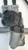 CITROEN C3 PLURIEL (2003) CRISTALLI ALZACRISTALLO PORTA ANT. DX. USATO Da 2003 A 2011 [[251342]]