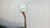 NISSAN JUKE «I» (2014) CRISTALLI RETROVISORE ESTERNO ANT. DX. USATO Da 2014 in poi [[251680]]
