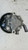 AUDI Q7 «4LB» (2006) STERZO POMPA SERVOSTERZO USATO Da 2007 A 2009 [[252528]]