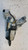 TOYOTA RAV 4 «II» (2000) STERZO BLOCCASTERZO USATO Da 2001 A 2005 [[252823]]