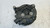 CITROEN C4 PICASSO «I» (2007) IMPIANTO ELETTRICO ALTERNATORE USATO Da 2006 A 2013 [[253225]]