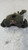 FIAT PANDA «III» (2012) IMPIANTO FRENANTE PINZA FRENO ANT. SX. USATO Da 2015 in poi [[253242]]