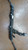 BMW X3 «F25» (2011) STERZO SCATOLA STERZO C/SERVOSTERZO USATO Da 2010 A 2014 [[253505]]