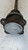 TOYOTA RAV 4 «II» (2000) CAMBIO E TRASMISSIONE SEMIASSE POST. DX. USATO Da 2001 A 2005 [[253648]]