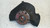 FIAT ULYSSE «II» (2002) ASSALE FUSELLO RUOTA ANT. DX. USATO Da 2002 A 2010 [[253819]]