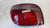 TOYOTA YARIS (JAPAN) «I» (1999) FANALERIA FANALE POST. SX. USATO Da 1999 A 2003 [[253736]]