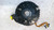 KIA PICANTO «I» (2004) SICUREZZA CONTATTO AIRBAG GUIDATORE USATO [[253810]]