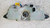 RENAULT SCÉNIC «III» X-MOD (2009) STERZO DEVIOGUIDA COMPLETO USATO Da 2008 A 2011 [[253888]]