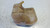 FORD FOCUS «I» (1999) TERMICO VASCHETTA ACQUA USATO Da 2002 A 2004 [[254183]]