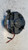 RENAULT CLIO «III» SW (2006) TERMICO MOTORINO VENTILAZIONE ABITACOLO USATO Da 2007 in poi [[254350]]