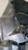 NISSAN MICRA «V» (2016) CRISTALLI MOTORINO TERGILUNOTTO USATO Da 2021 in poi [[254780]]