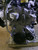 NISSAN MICRA «V» (2016) MOTORE MOTORE SEMICOMPLETO USATO Da 2021 in poi [[254842]]