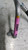 MAZDA 2 «III» (2019) TERMICO FLESSIBILE A/C (COMPRESSORE/CONDENSATORE) USATO Da 2019 in poi [[255342]]