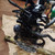 OPEL CORSA «E» (2014) MOTORE MOTORE COMPLETO USATO Da 2014 in poi [[255348]]