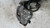 OPEL CORSA «E» (2014) IMPIANTO FRENANTE PINZA FRENO ANT. DX. USATO Da 2014 in poi [[255396]]