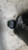 OPEL CORSA «E» (2014) SCARICO E INIEZIONE CORPO FARFALLATO USATO Da 2014 in poi [[255402]]