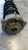 AUDI A4 «8W5» AVANT (2015) ASSALE AMMORTIZZATORE ANT. DX. USATO Da 2015 A 2019 [[255437]]