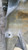 AUDI A4 «8W5» AVANT (2015) MOTORE SUPPORTO MOTORE DX. USATO Da 2015 A 2019 [[255488]]