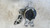 NISSAN QASHQAI «II» (2014) MOTORE SUPPORTO GOMMA MOTORE DX. USATO Da 2014 A 2017 [[255922]]