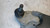 TOYOTA RAV 4 «IV» (2013) ASSALE BRACCIO OSCILLANTE ANT. DX. USATO Da 2012 A 2015 [[256037]]