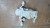 TOYOTA RAV 4 «IV» (2013) CAMBIO E TRASMISSIONE DIFFERENZIALE POST. USATO Da 2012 A 2015 [[256103]]