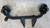 SUZUKI VITARA «II» (2018) MOTORE TRAVERSA SUPPORTO DIFFERENZIALE POST. USATO [[256174]]