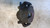 OPEL CORSA «E» (2014) IMPIANTO FRENANTE PINZA FRENO ANT. SX. USATO Da 2014 in poi [[256187]]