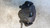 OPEL CORSA «E» (2014) IMPIANTO FRENANTE PINZA FRENO ANT. DX. USATO Da 2014 in poi [[256188]]