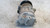 OPEL CORSA «E» (2014) TERMICO COMPRESSORE A/C USATO Da 2014 in poi [[256198]]