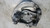 FUSELLO RUOTA ANT. SX. USATO DAL 2008 BMW SERIE 1 «E88» CABRIO (2005) 31216773209 [[256258]]
