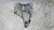 BMW X3 «E83» (2004) MOTORE SUPPORTO MOTORE DX. USATO Da 2008 in poi [[256465]]