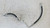 ALFA ROMEO STELVIO (2017) TERMICO FLESSIBILE A/C (COMPRESSORE/CONDENSATORE) USATO Da 2016 in poi [[256792]]