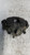 FORD KUGA «I» (2008) IMPIANTO FRENANTE PINZA FRENO ANT. SX. USATO Da 2008 A 2013 [[256992]]