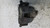FORD KUGA «I» (2008) IMPIANTO FRENANTE PINZA FRENO ANT. DX. USATO Da 2008 A 2013 [[256993]]
