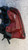 MINI MINI COOPER «R56» (2007) FANALERIA FANALE POST. DX. USATO Da 2006 in poi [[257135]]