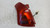 SUZUKI SWIFT «IV» (2005) FANALERIA FANALE POST. SX. USATO Da 2005 A 2011 [[257154]]