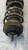 FIAT PANDA «III» (2012) ASSALE AMMORTIZZATORE ANT. DX. USATO Da 2015 in poi [[257453]]