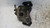 FIAT PANDA «III» (2012) IMPIANTO FRENANTE PINZA FRENO ANT. SX. USATO Da 2015 in poi [[257465]]