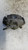 FIAT PANDA «III» (2012) IMPIANTO FRENANTE PINZA FRENO ANT. SX. USATO Da 2015 in poi [[257465]]