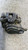 PEUGEOT 208 «II» (2019) IMPIANTO FRENANTE PINZA FRENO POST. DX. USATO Da 2019 in poi [[257508]]