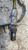 SENSORE NOX USATO DAL 2019 PEUGEOT 208 «II» (2019) 9830817880 [[257537]]