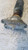 AMMORTIZZATORE POST. DX. USATO DAL 2015 BMW SERIE 1 «F20» BERLINA (2015) 33526873722 [[257570]]
