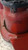 TOYOTA AYGO «I» (2005) FANALERIA FANALE POST. DX. USATO Da 2005 A 2012 [[257675]]