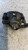 SUZUKI IGNIS «III» (2016) IMPIANTO FRENANTE PINZA FRENO ANT. DX. USATO Da 2016 in poi [[257860]]