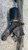 MECCANISMO TERGICRISTALLO USATO DAL 2003 AL 2008 RENAULT MÉGANE II» SW (2003) 8200036921 [[258106]]