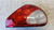 JAGUAR X-TYPE (2001) FANALERIA FANALE POST. DX. USATO Da 2005 in poi [[258315]]